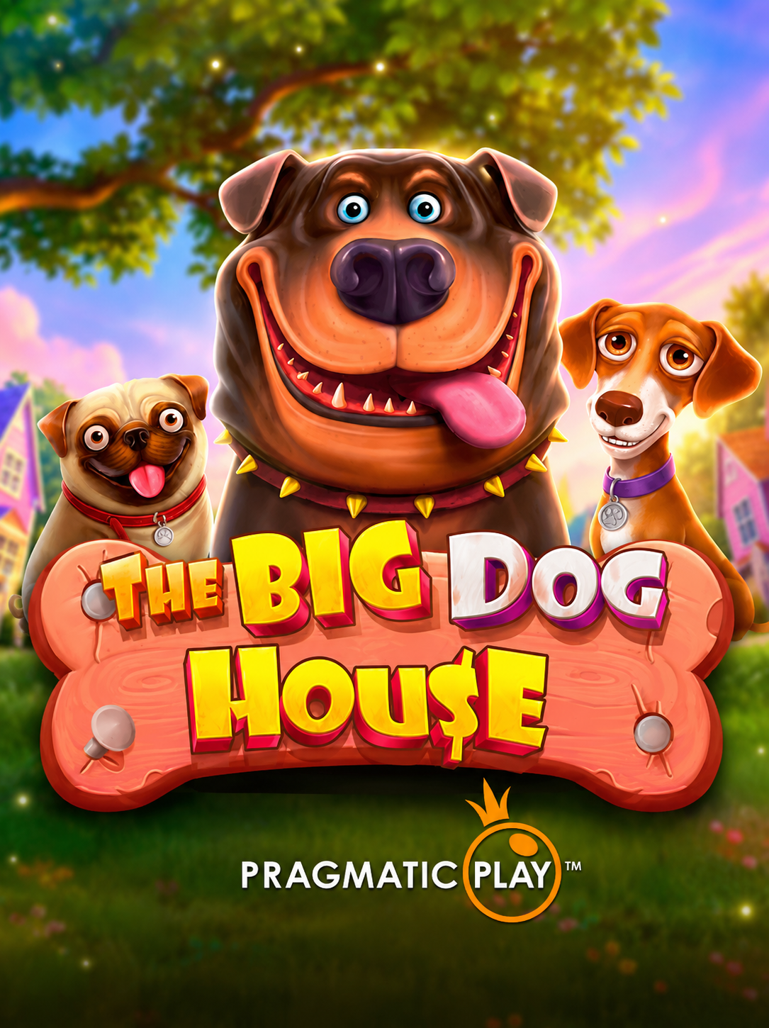 TheBigDogHouse